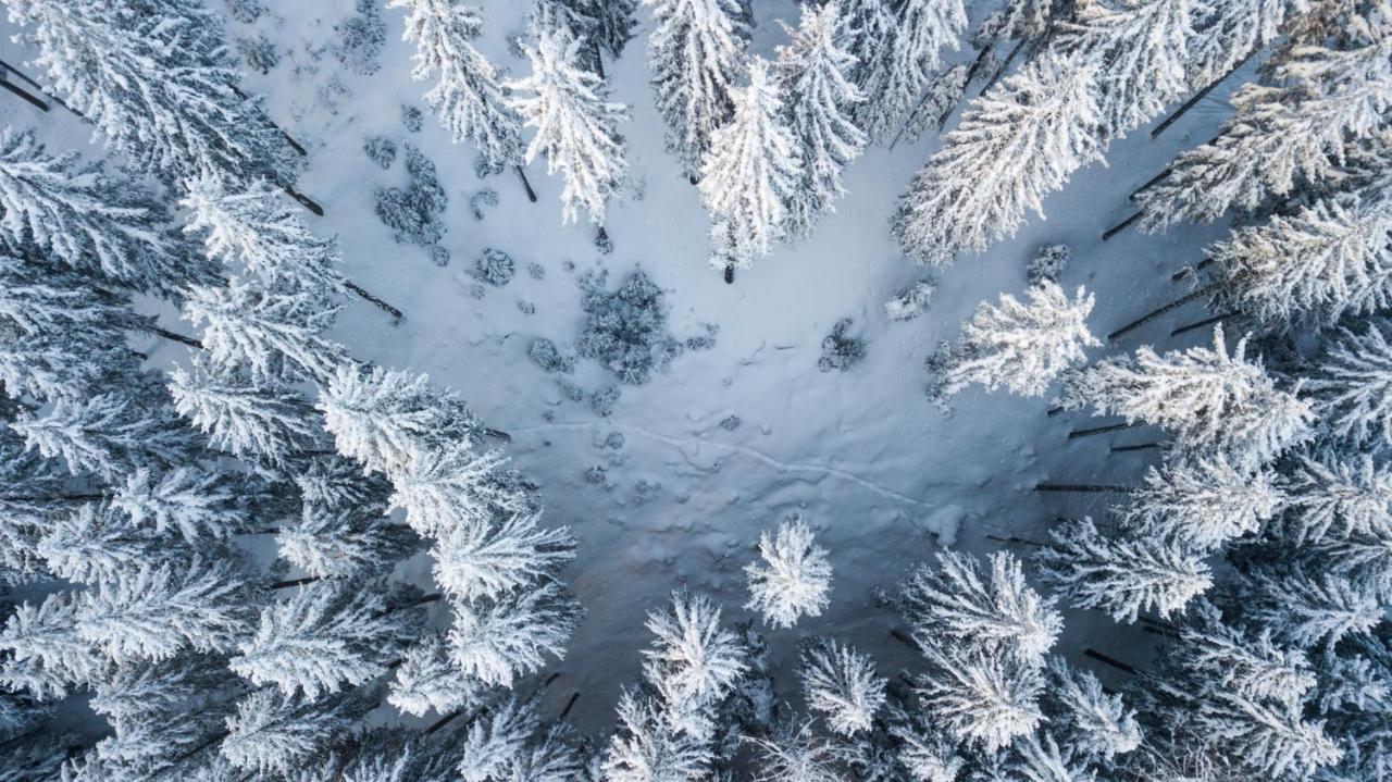 Huettenzauber Таксенбах Экстерьер фото
